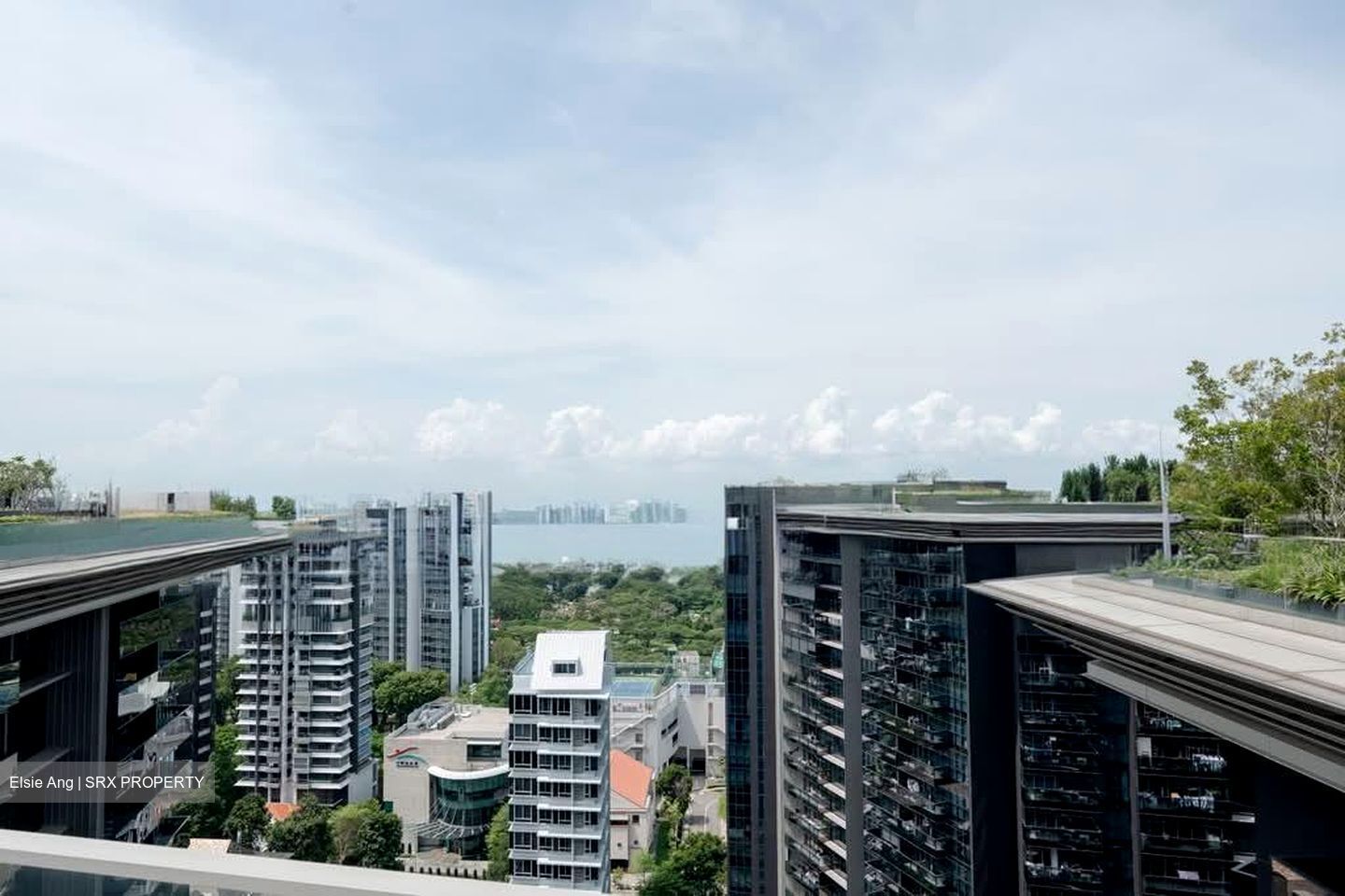 Amber Park (D15), Condominium #561318281